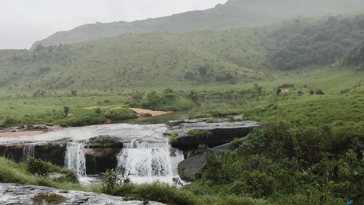 Lavender Homestay Cherrapunji Eksteriør billede